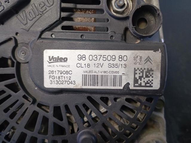 9803750980 Peugeot/Citroen