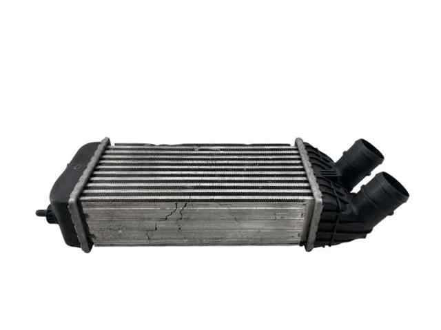 9803900780 Peugeot/Citroen