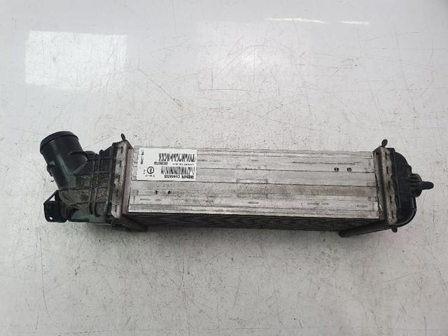 9803900780 Peugeot/Citroen