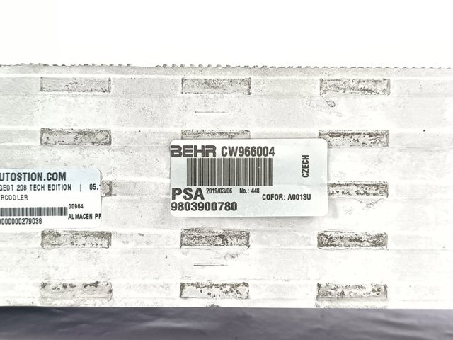 9803900780 Peugeot/Citroen