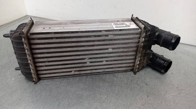 9803900780 Peugeot/Citroen