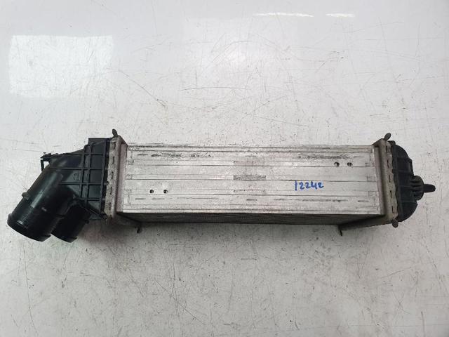 9803900780 Peugeot/Citroen