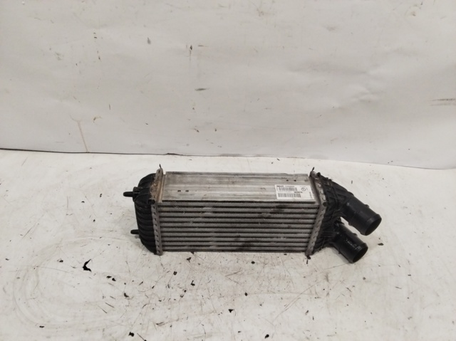 9803900780 Peugeot/Citroen