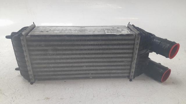 9803900780 Peugeot/Citroen