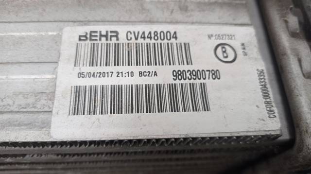 9803900780 Peugeot/Citroen