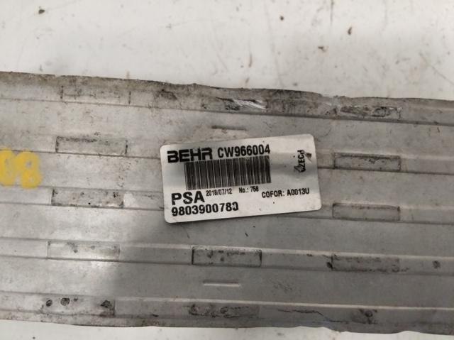 9803900780 Peugeot/Citroen