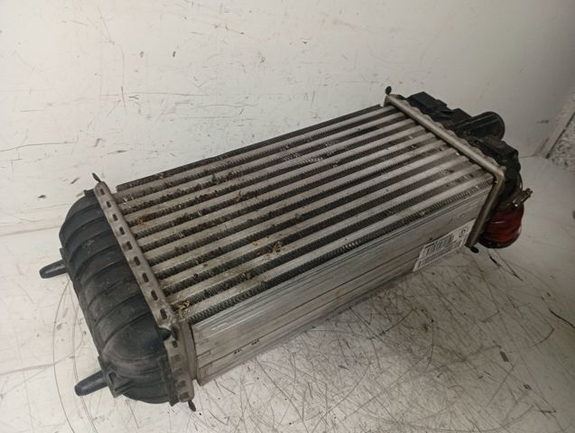 9803900780 Peugeot/Citroen