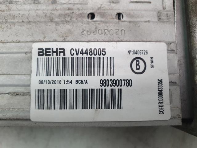 9803900780 Peugeot/Citroen