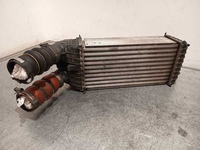 9803900780 Peugeot/Citroen