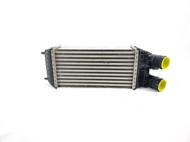 9803900780 Peugeot/Citroen