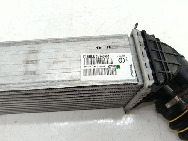 9803900780 Peugeot/Citroen