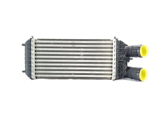 9803900780 Peugeot/Citroen