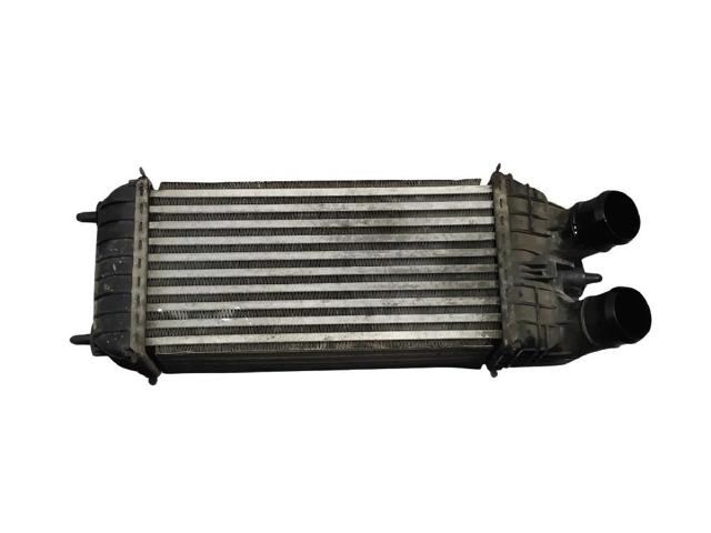 9803900780 Peugeot/Citroen