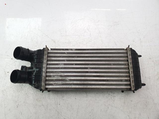 9803900780 Peugeot/Citroen