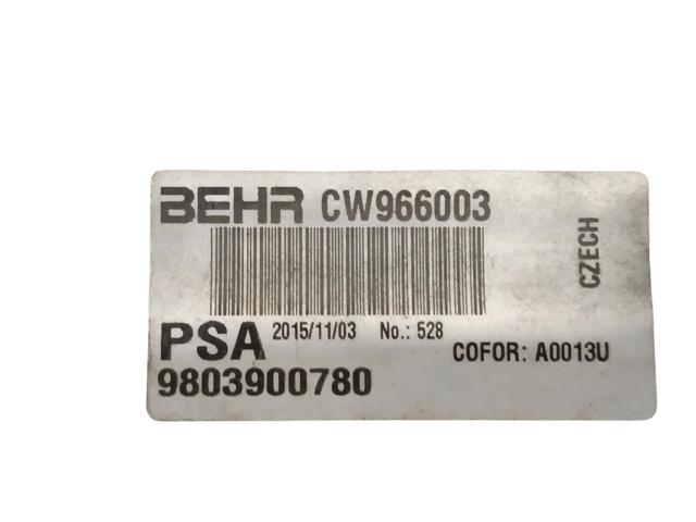 9803900780 Peugeot/Citroen