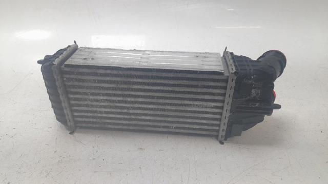 9803900780 Peugeot/Citroen