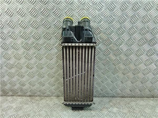 9803900780 Peugeot/Citroen