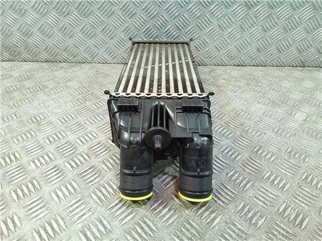 9803900780 Peugeot/Citroen