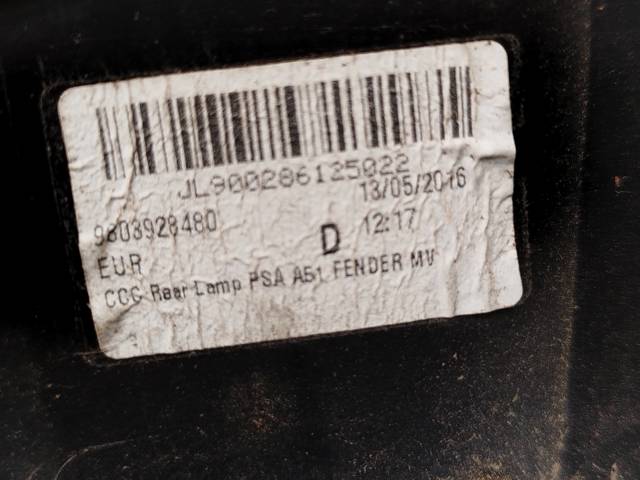 9803928480 Peugeot/Citroen
