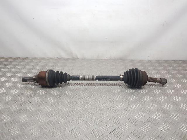 9803959580 Peugeot/Citroen