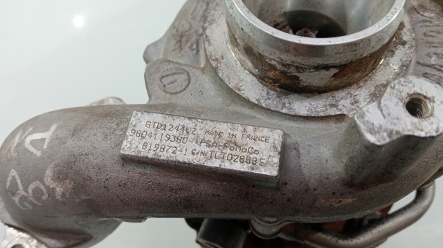 9804119380 Peugeot/Citroen