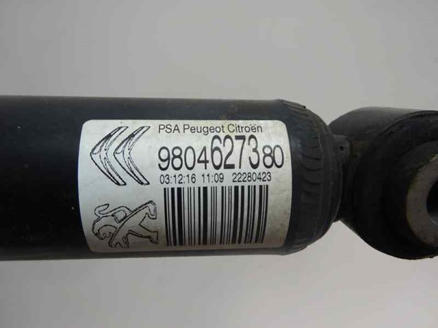 9804627380 Peugeot/Citroen