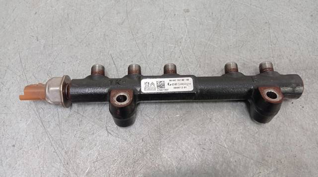 9804776780 Peugeot/Citroen