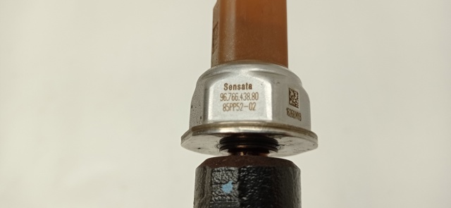 9804776780 Peugeot/Citroen