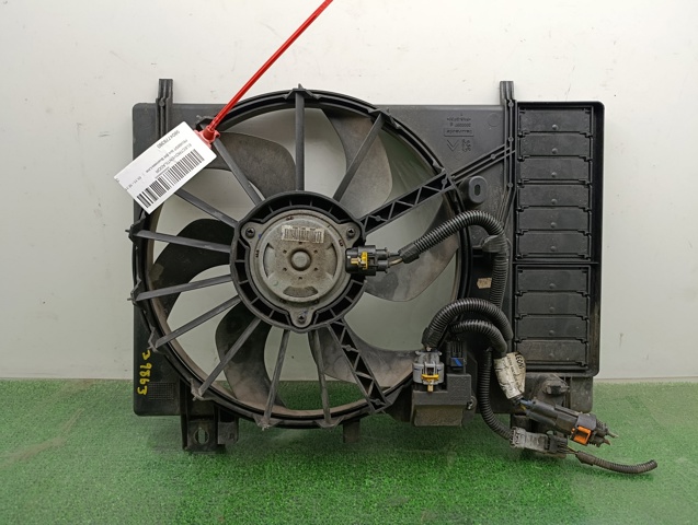 9804778380 Peugeot/Citroen