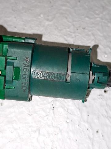 9804869480 Peugeot/Citroen