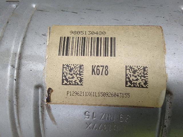 9805130480 Peugeot/Citroen