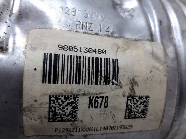 9805130480 Peugeot/Citroen