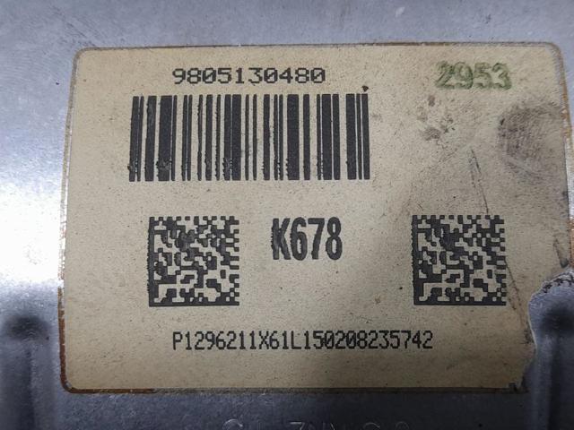 9805130480 Peugeot/Citroen