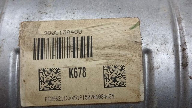 9805130480 Peugeot/Citroen