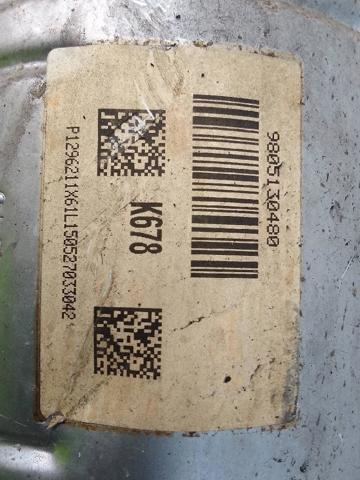 9805130480 Peugeot/Citroen