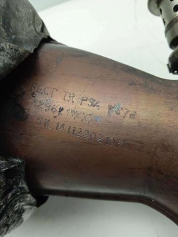 9805130480 Peugeot/Citroen