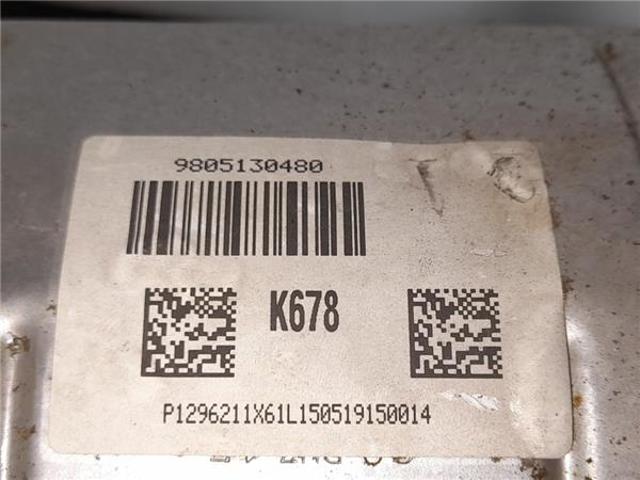 9805130480 Peugeot/Citroen