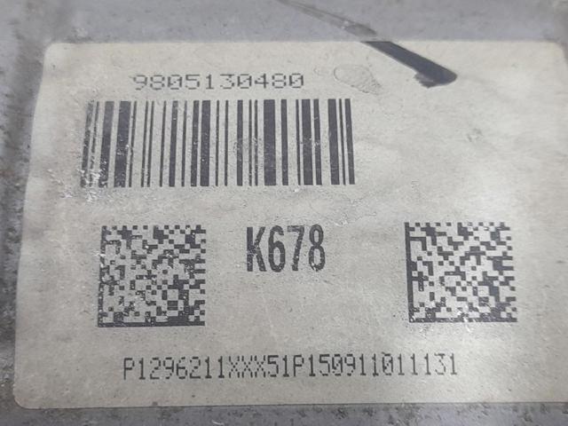 9805130480 Peugeot/Citroen