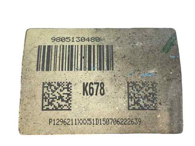 9805130480 Peugeot/Citroen