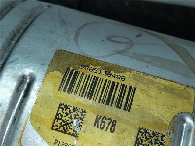 9805130480 Peugeot/Citroen