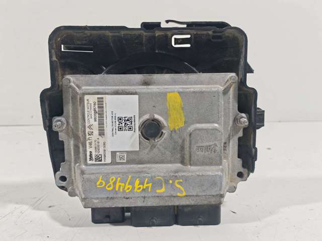 9805895780 Peugeot/Citroen