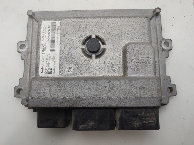 9805895780 Peugeot/Citroen