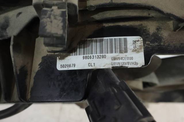 9806313280 Peugeot/Citroen