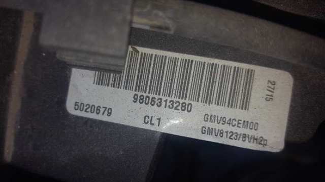 9806313280 Peugeot/Citroen