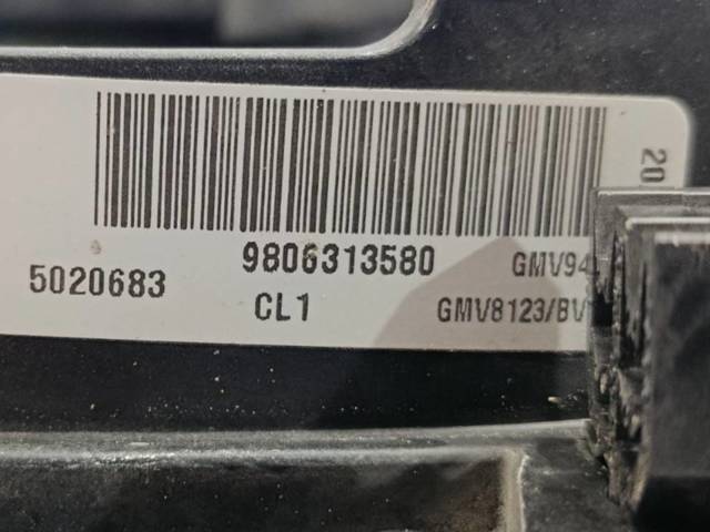 9806313580 Peugeot/Citroen