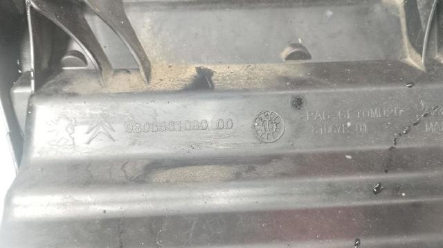9806561080 Peugeot/Citroen