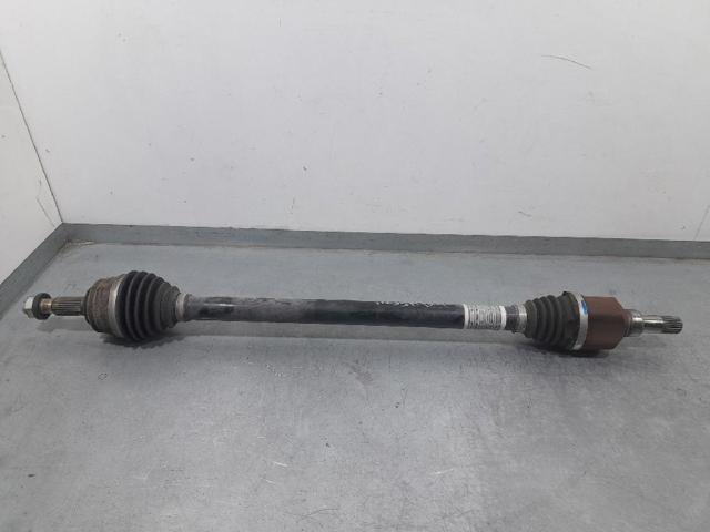 9806699780 Peugeot/Citroen