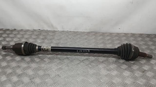 9806699780 Peugeot/Citroen