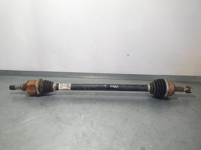 9806699780 Peugeot/Citroen
