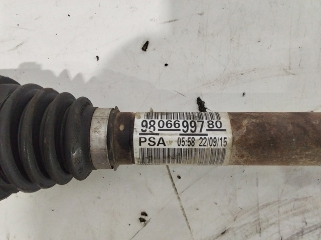 9806699780 Peugeot/Citroen